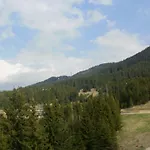 Deluxe In Stoykite