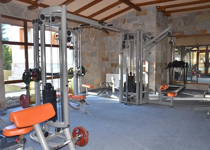 Deluxe In Stoykite Pamporovo